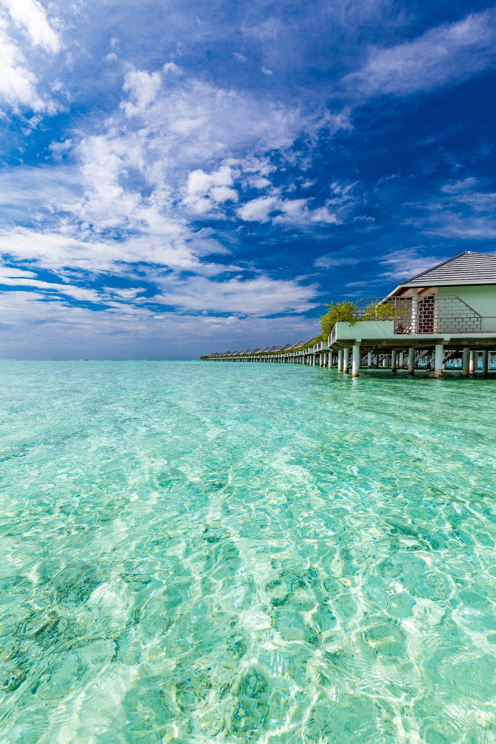 Isla del Medio — guía de Boca del Río y la Riviera Veracruzana
